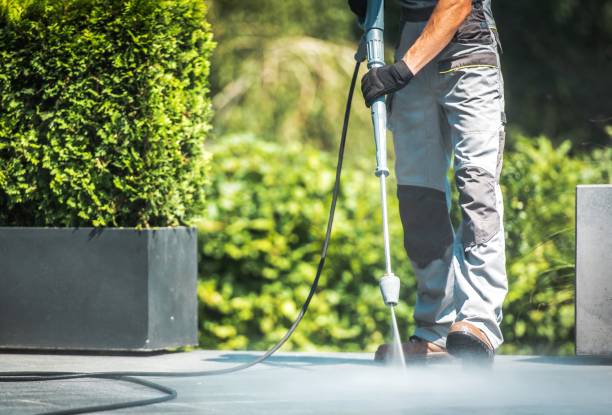 Best Building Exterior Washing  in Wilmer, TX