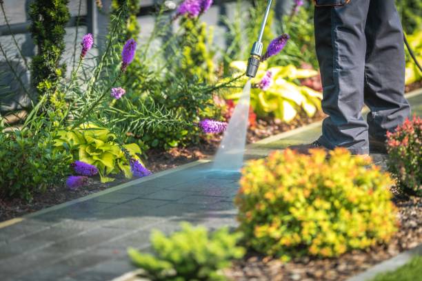 Best Animal Enclosure Cleaning  in Wilmer, TX