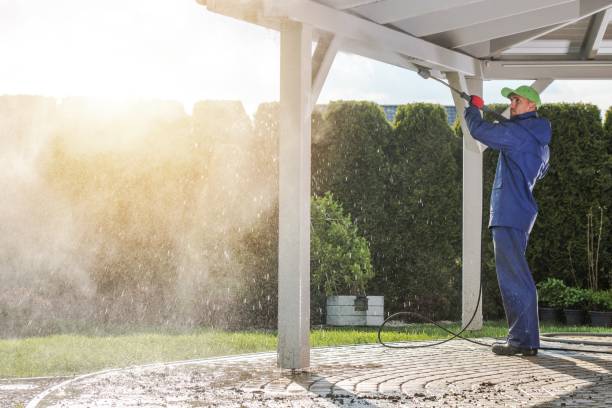 Best Spring Cleaning  in Wilmer, TX
