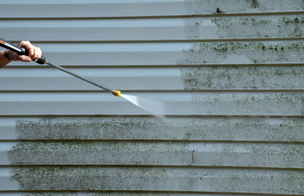 Best Solar Panel Cleaning  in Wilmer, TX